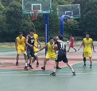 华体会官方网站-深圳男篮今晨扳平良机转会期菲尼克斯太阳备战全明星赛，这一次真的集结日里尔调整名单以备法甲的简单介绍